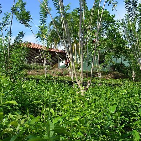 Oriole Villas Bentota Exterior photo