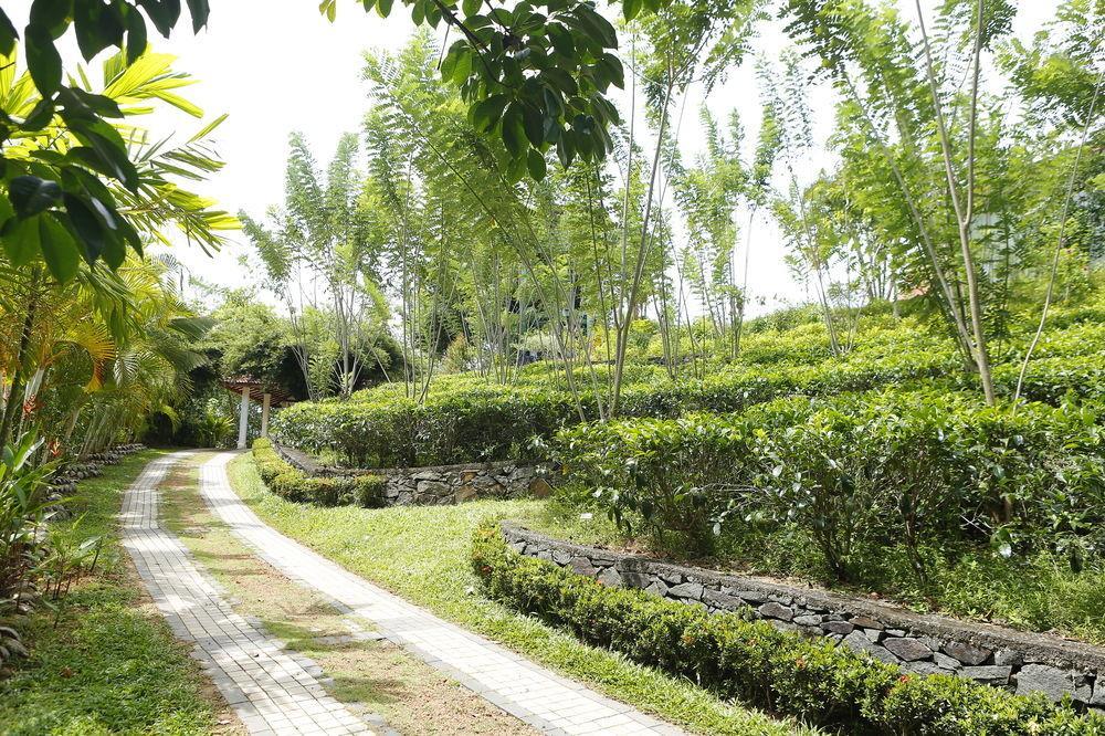Oriole Villas Bentota Exterior photo